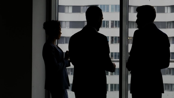 Business Team Talking About Project with Partner alt