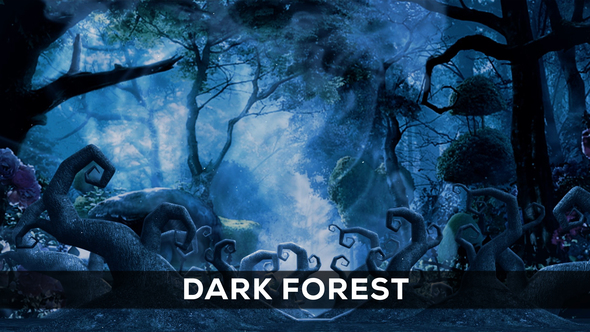 Dark Forest