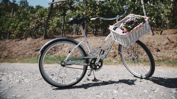 Cute Bicycle with Basket Full of Vine and Grapes on Road Near Vinery