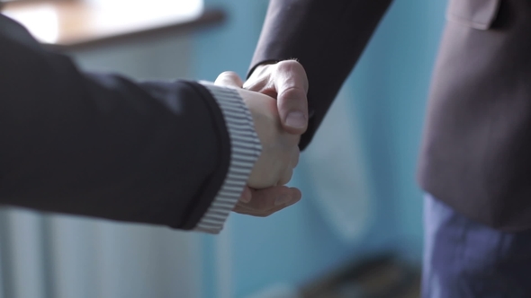 Business Handshake. Business Handshake and Business People Concept