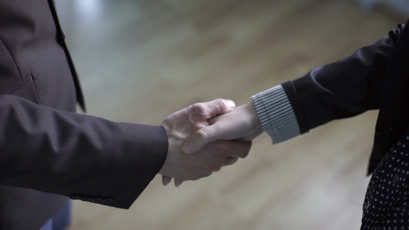 Business Handshake. Business Handshake and Business People Concept