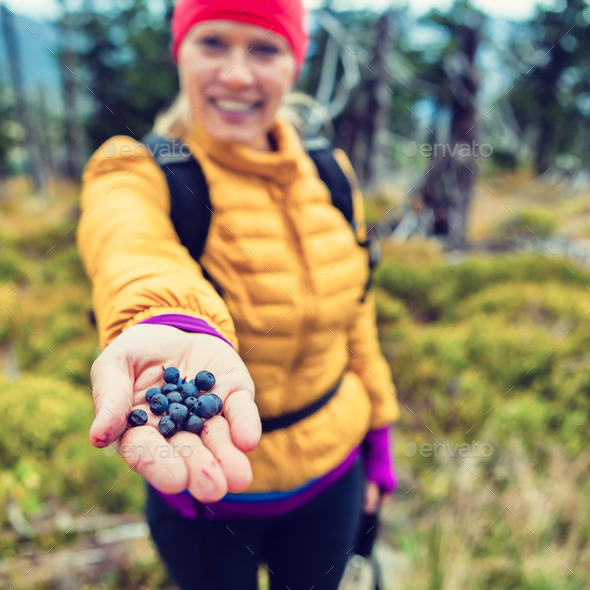 Woman hand giving blueberries in forest - Stock Photo - Images