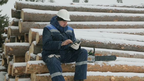 Worker With Tablet Computer on Big Pile of Logs in Winter Forest