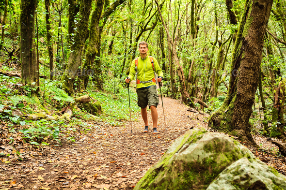Hiker walking trekking in green forest - Stock Photo - Images