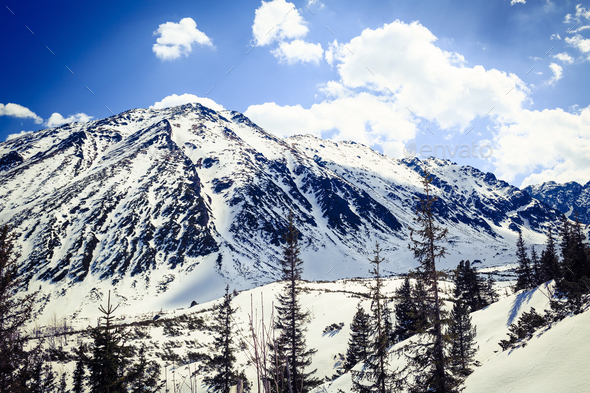 Mountain beautiful landscape winter sunny day Stock Photo by blas | PhotoDune