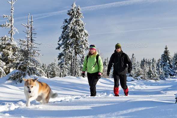 Couple hiking with dog in winter mountains - Stock Photo - Images