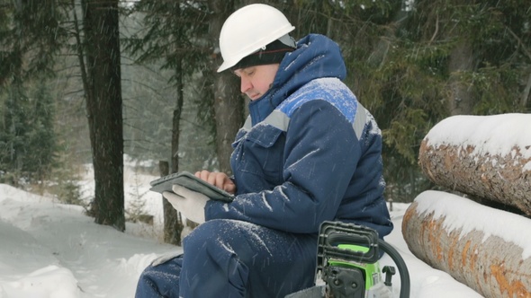 Worker With Tablet Computer on Big Pile of Logs in Winter Forest