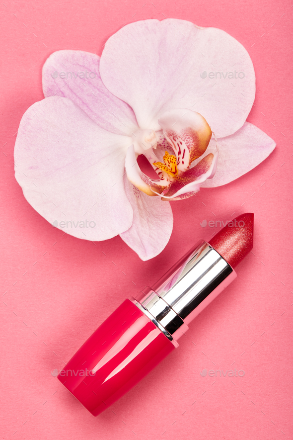 Fashionable Women's Cosmetics and Accessories - Stock Photo - Images