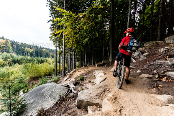 Mountain biker riding cycling in autumn forest trail - Stock Photo - Images