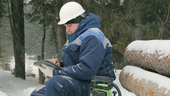 Worker With Tablet Computer on Big Pile of Logs in Winter Forest