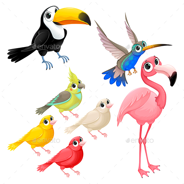 Group of Tropical Birds by ddraw | GraphicRiver