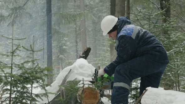 Worker Sawing With Chainsaw in Winter Forest