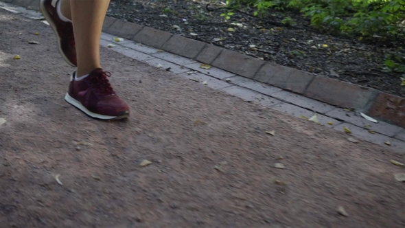 Legs of a Jogger Running in a Park
