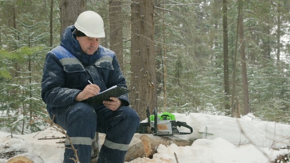 Worker With Tablet Working in Winter Forest