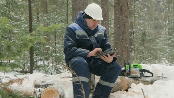 Worker With Tablet Computer Working in Winter Forest