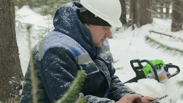 Worker With Tablet Computer Working in Winter Forest