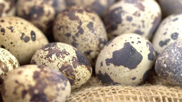 Uncooked Quail Eggs on Burlap Cloth alt