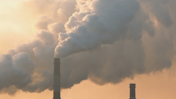 Plant Emits Harmful Smoke alt