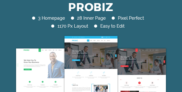 PROBIZ- Multipurpose Business - ThemeForest 21490715