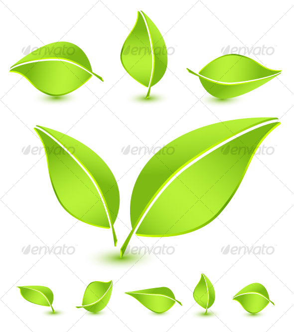 Leaves icon set - Flowers & Plants Nature