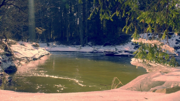 Forest River in Early Spring, Nature Wakes Up