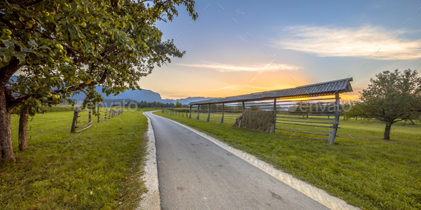 Traditional Slovenian hay rack in orchard - Stock Photo - Images