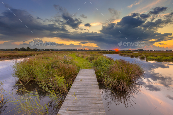 Wetland Footbridge with setting sun - Stock Photo - Images