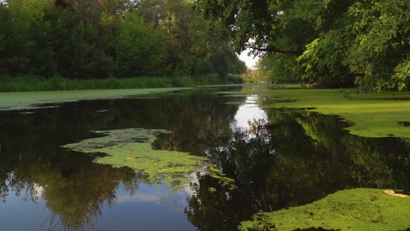 River at Sunny Morning