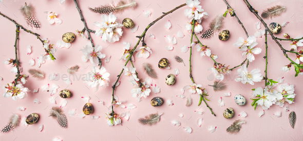 Easter background with eggs, almond flowers and feathers, top view ...