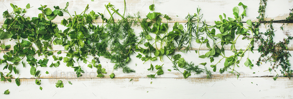 Various fresh green kitchen herbs for healthy vegan cooking - Stock Photo - Images