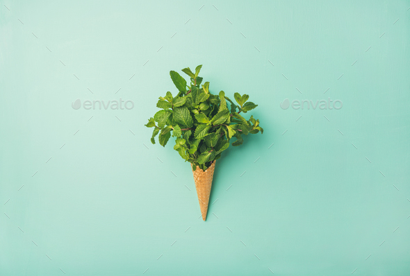 Waffle cone with fresh mint - Stock Photo - Images