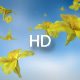 Falling Flowers - VideoHive Item for Sale