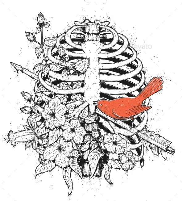Red Bird Illustration - Animals Characters