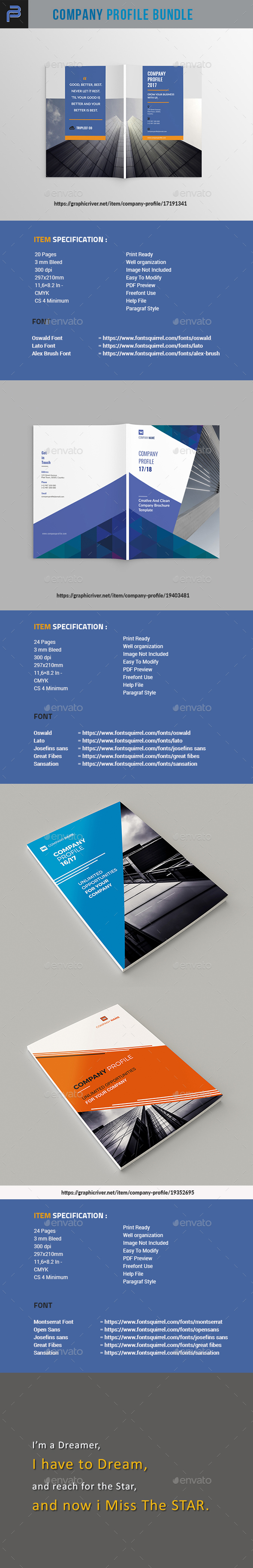 Company Profile Bundle - Corporate Brochures
