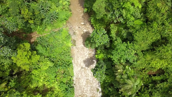 Mountain River Flowing in the Rain Forest Tropical Jungle
