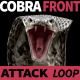 Cobra Front View Attack - VideoHive Item for Sale