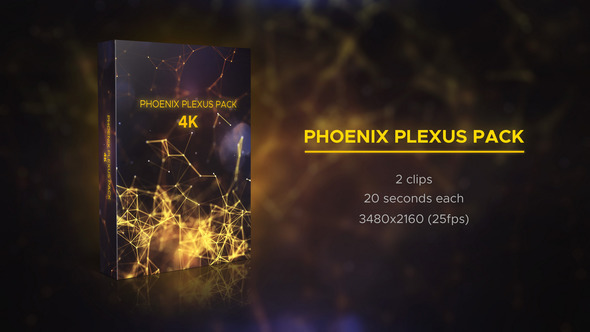 Phoenix Plexus Pack