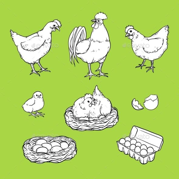 Vector Flat Poutry - Food Objects