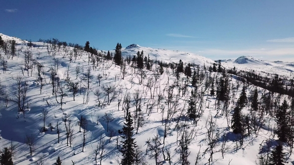 Cinematic Camera Motion in Scenic Mountain Landscape in Winter