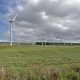 Wind Turbines in a Field in Scotland - VideoHive Item for Sale