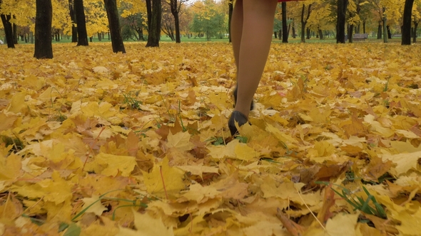 Legs of Young Slim Beautiful Woman Are Running. Maple Leaves in Autumn Park alt