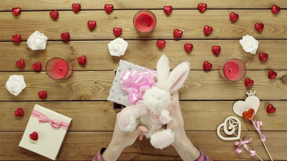 Man Puts Soft Bunny Into the Gift Box As Valentine Day Present, Top View