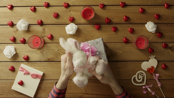 Young Man Puts Soft Bunny Into the Gift Box As Valentine Day Present, Top View