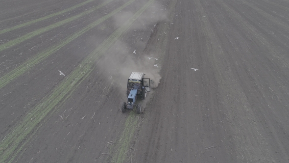 Aerial View of Tractor Riding across the Field and Sprues Seedlings