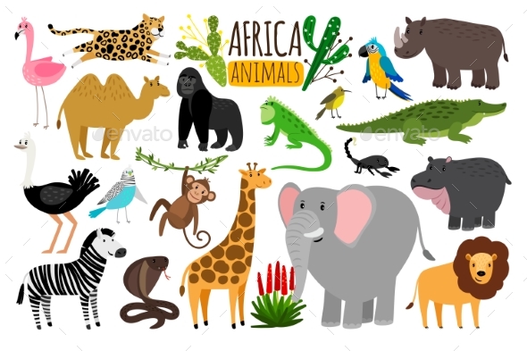 African Animals Various Wildlife Animals - Animals Characters