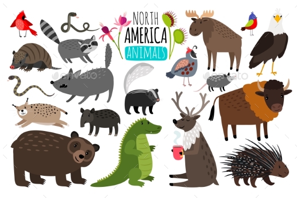 North American Animals - Animals Characters