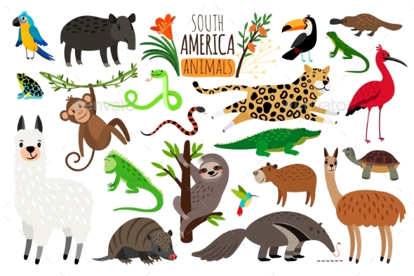 South America Animals - Animals Characters