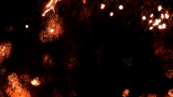 Beautiful Effect of Burning Steel Wool alt