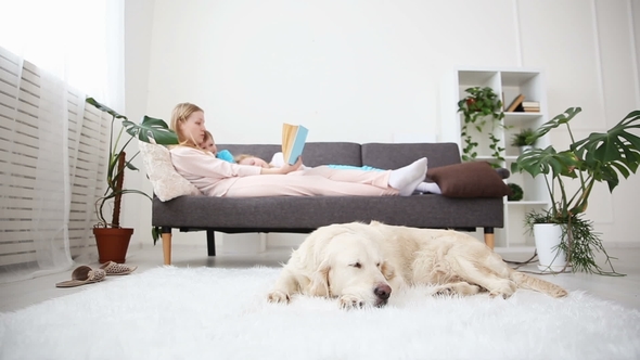 Life of Domestic Pets in the Family. Mother Reads the Book To the Children. the Golden Retriever