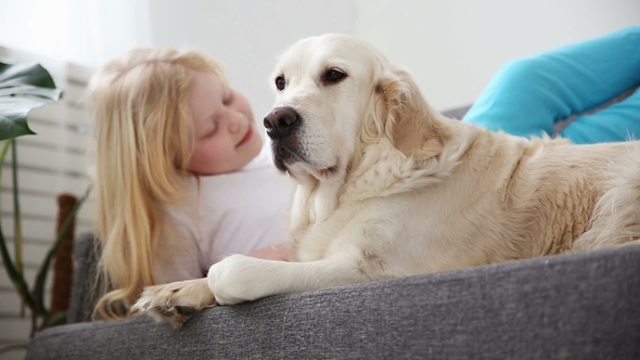 Care for Pets. A Blonde Girl Strokes Her Dog with Love in the Living Room. Happy Golden Retriever in